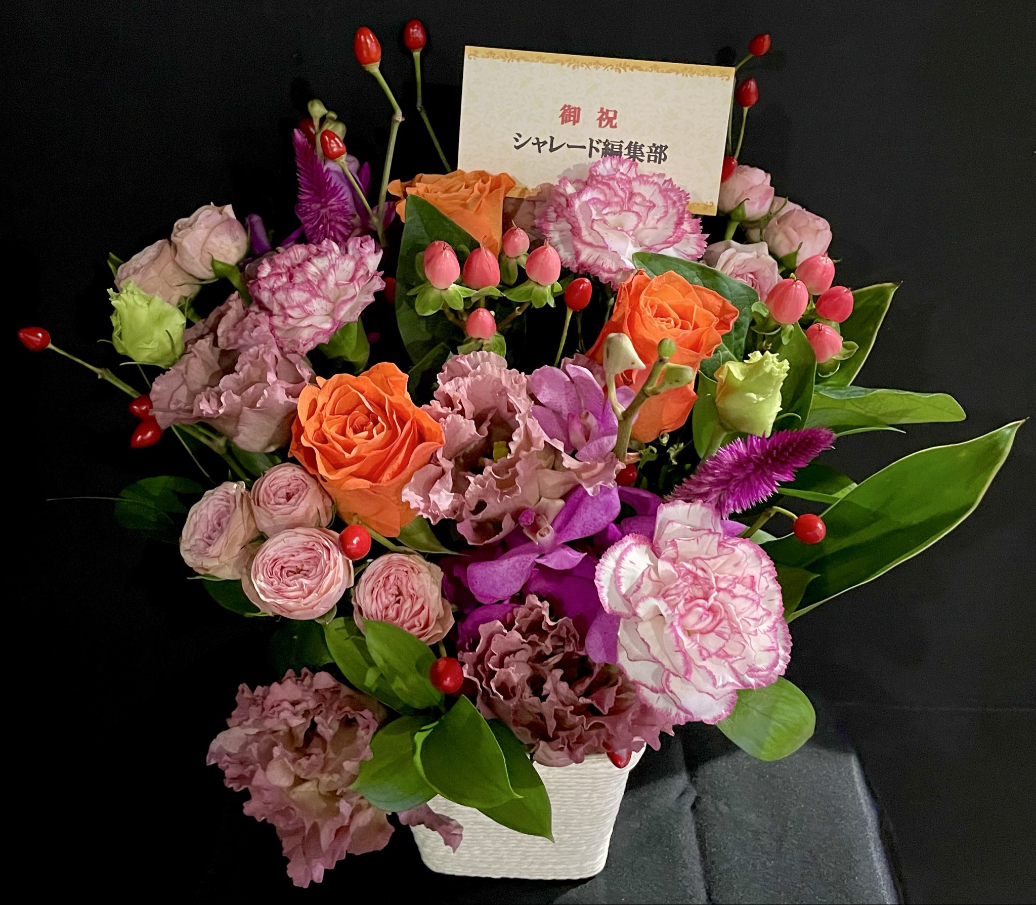 ★ 【未使用】笠井あゆみ 額入り高精細複製原画 C 「日輪交差」 ☆ 【未使用】笠井あゆみ 額入り高精細複製原画 C 「日輪交差