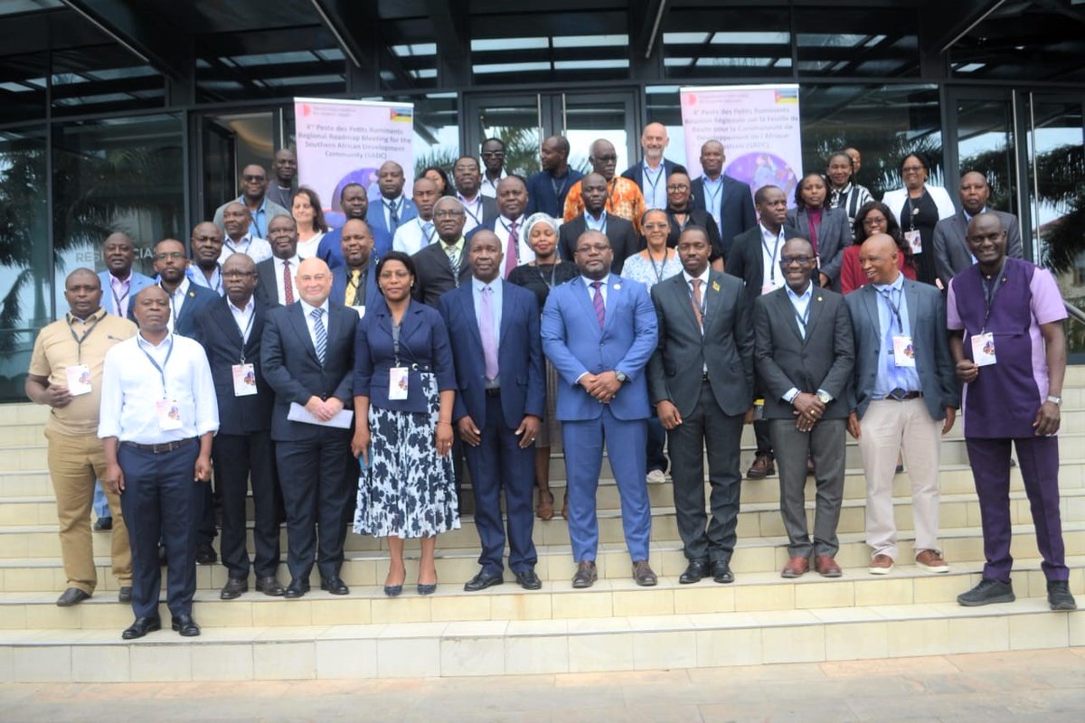 faosfsafrica's tweet image. #SADC countries are meeting in Mozambique for the 4th #PPR Roadmap Meeting to accelerate efforts to control and eradicate Peste des Petits Ruminants (PPR) 🐐. The 🇪🇺EU-funded #STOSARII and #PPR1 projects are driving coordinated regional actions toward a PPR-free region by 2030.