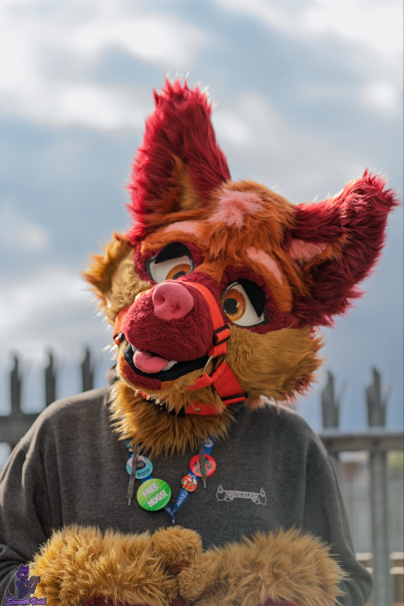 Happy #FursuitFriday, hope you all have a wonderful weekend ☺️

I am heading to the Battle of Hastings today for the weekend. I am taking part as a ‘Villager’ for the Viking side, can’t wait and will be my first major event! Anyone else going/taking part?

📸 <a href="/SeventhVoids/">SeventhVoid</a>