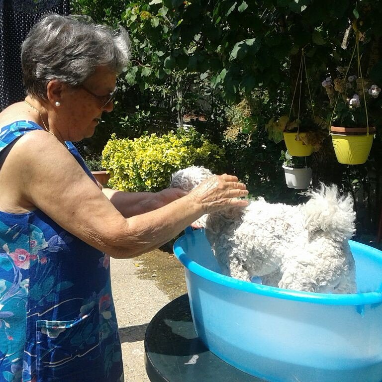 Mi madre è talmente benestante che con la collezione Prada estiva ce lava er cane