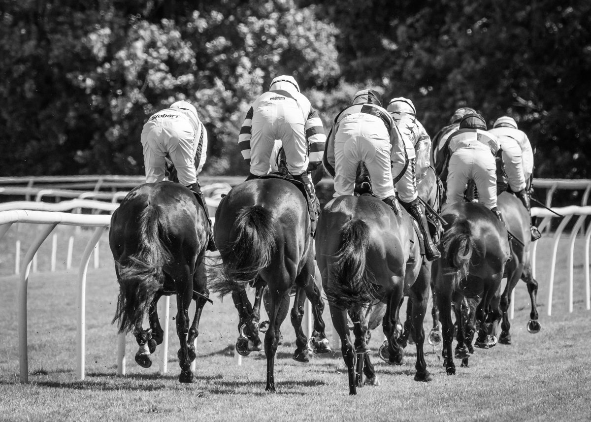 Worcester Racecourse tweet media
