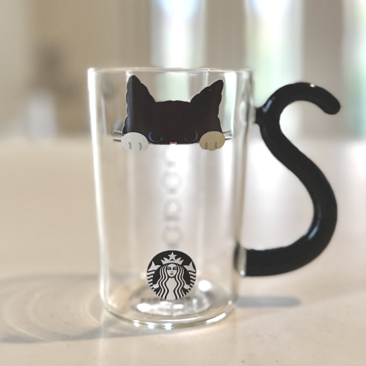 Ishikawa@黒猫あめ10歳♀&なぎ3歳♀&サバトラめい1歳♀ tweet media