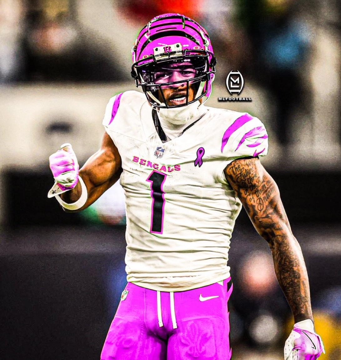 _MLFootball's tweet image. THE #NFL NEEDS TO BRING BACK PINK OCTOBERS FOR BREAST CANCER AWARENESS

🩷🩷🩷