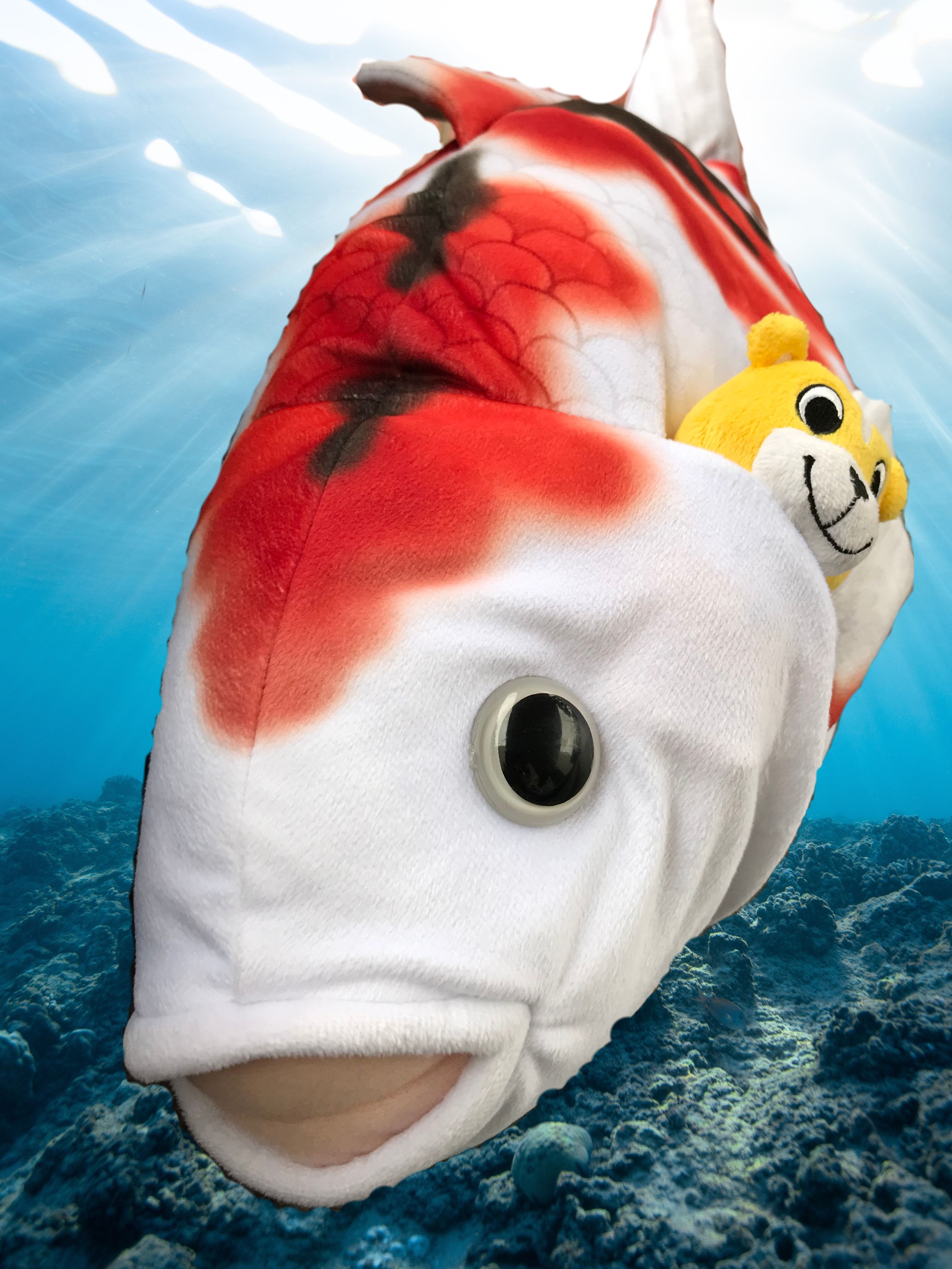 テッドくん てっと君 (@tetto_kun) / X