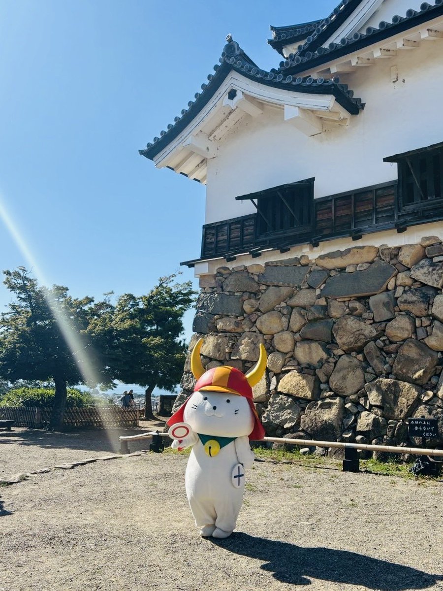 ぴことこ（感謝） ピコ💋12/28 18th ANNIVERSARY LIVE〜PG-18〜 (@piko_niconico