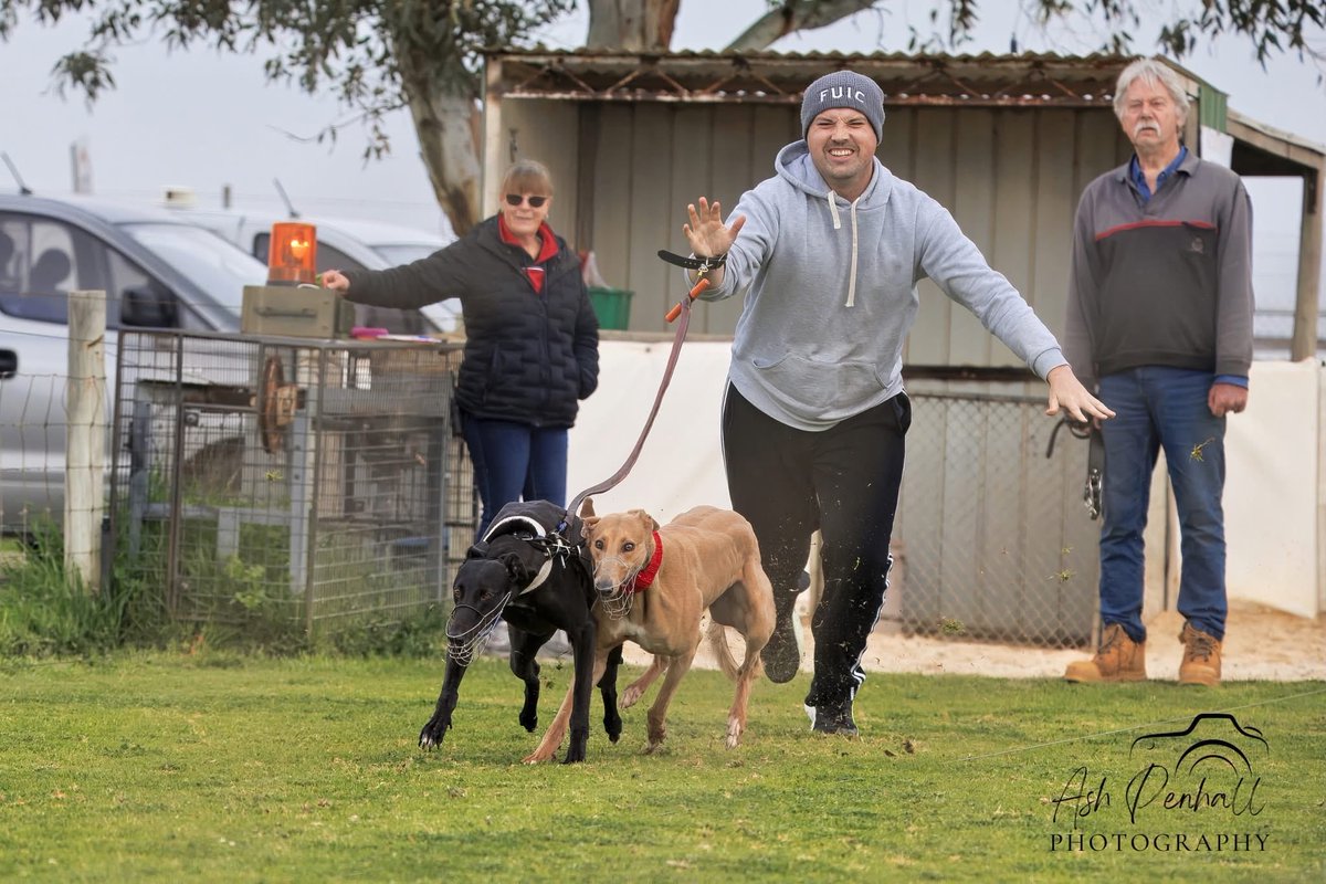48shadesofgray's tweet photo. Another #adelaidecup and why it is a time to celebrate itβs also a time for nostalgia and let emotions get the best of me.
My family won the cup in 1980, followed by the greyhound ot the year in 1981, seeing the honour boards a picture of the father I once knew always gets me. https://t.co/G4wP3tYjAp