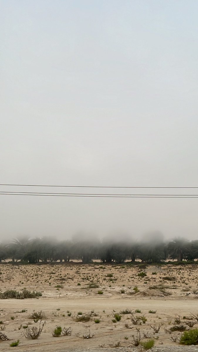 ⁷ (@a493__) on Twitter photo 