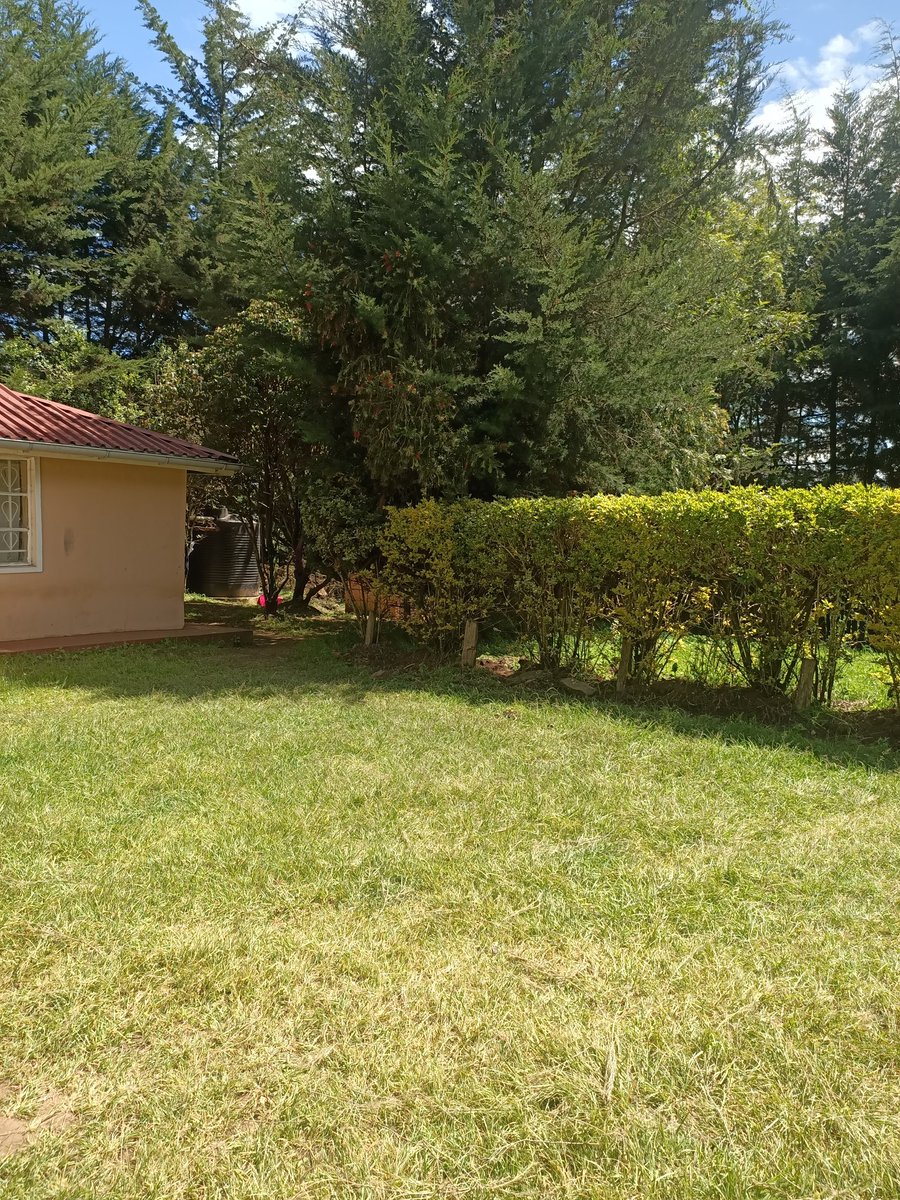 Plant trees today so you can enjoy the peace and beauty of their shade tomorrow.
#OrmanieLeenko💥
#MazingiraDay2025