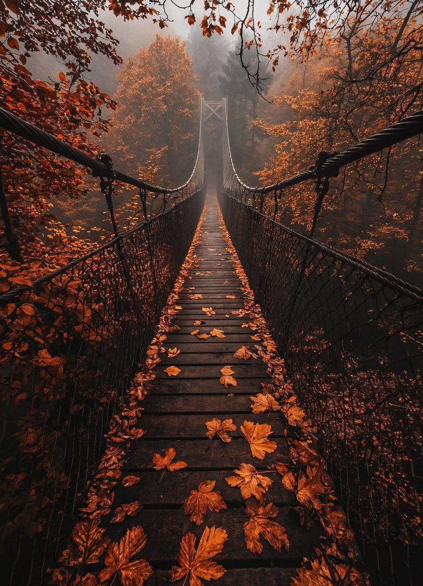 __Earthpictures's tweet photo. https://t.co/lgiCcrVLJU
