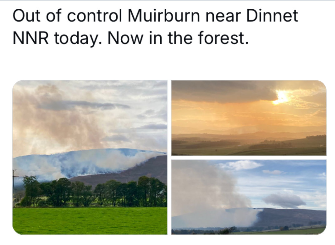 “managed burning reduces fire risk”  from the  <a href="/MoorlandAssoc/">Moorland Association</a> 🤡show.