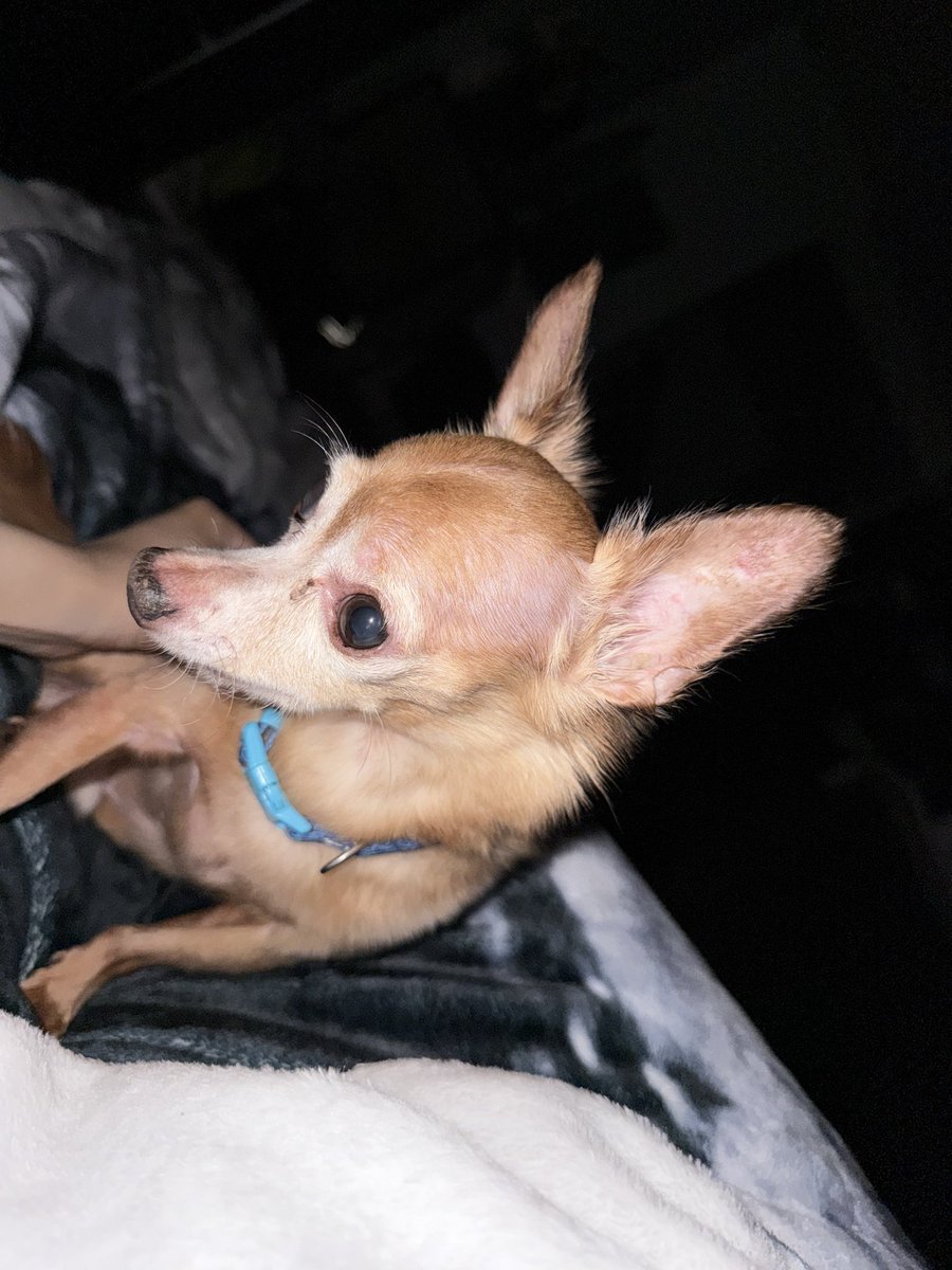 diorprodhjs's tweet image. i sleep on the floor n he decides to sleep w me 🥹