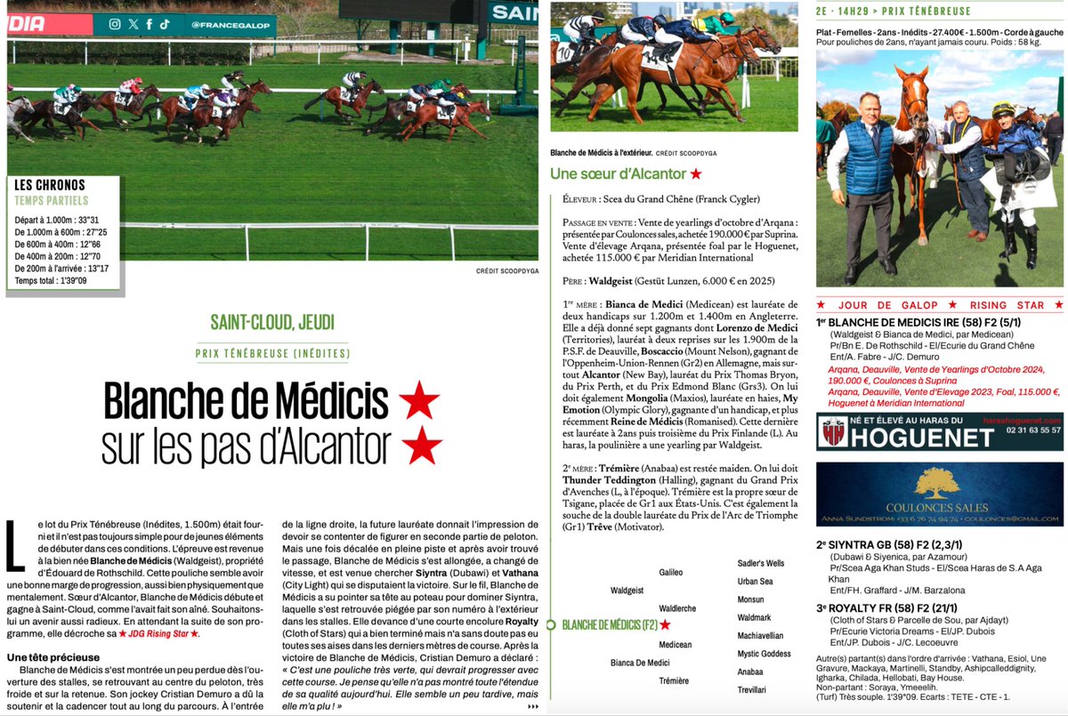 Haras du Hoguenet (@harasduhoguenet) on Twitter photo 