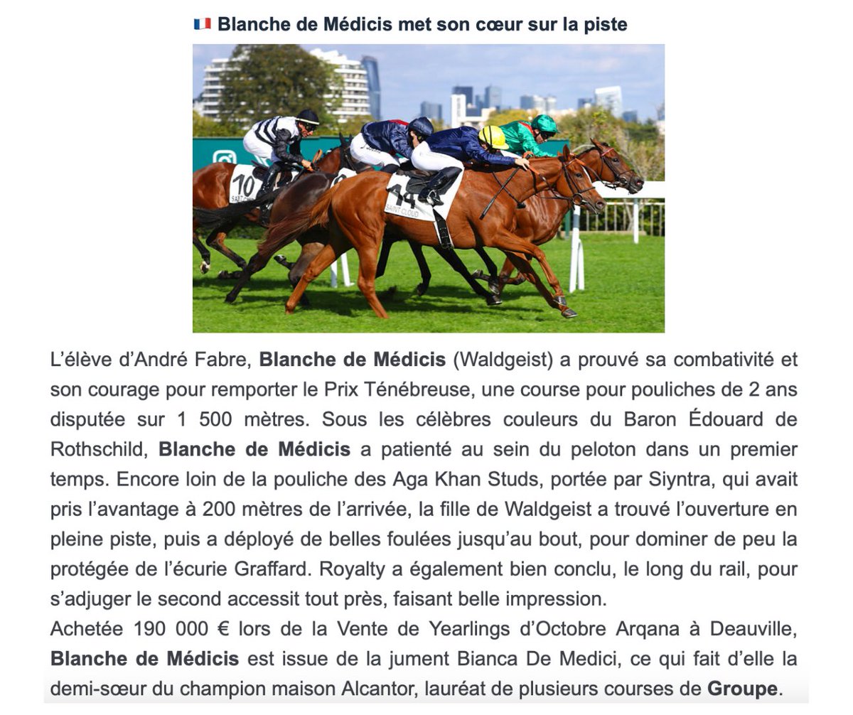 Haras du Hoguenet (@harasduhoguenet) on Twitter photo 