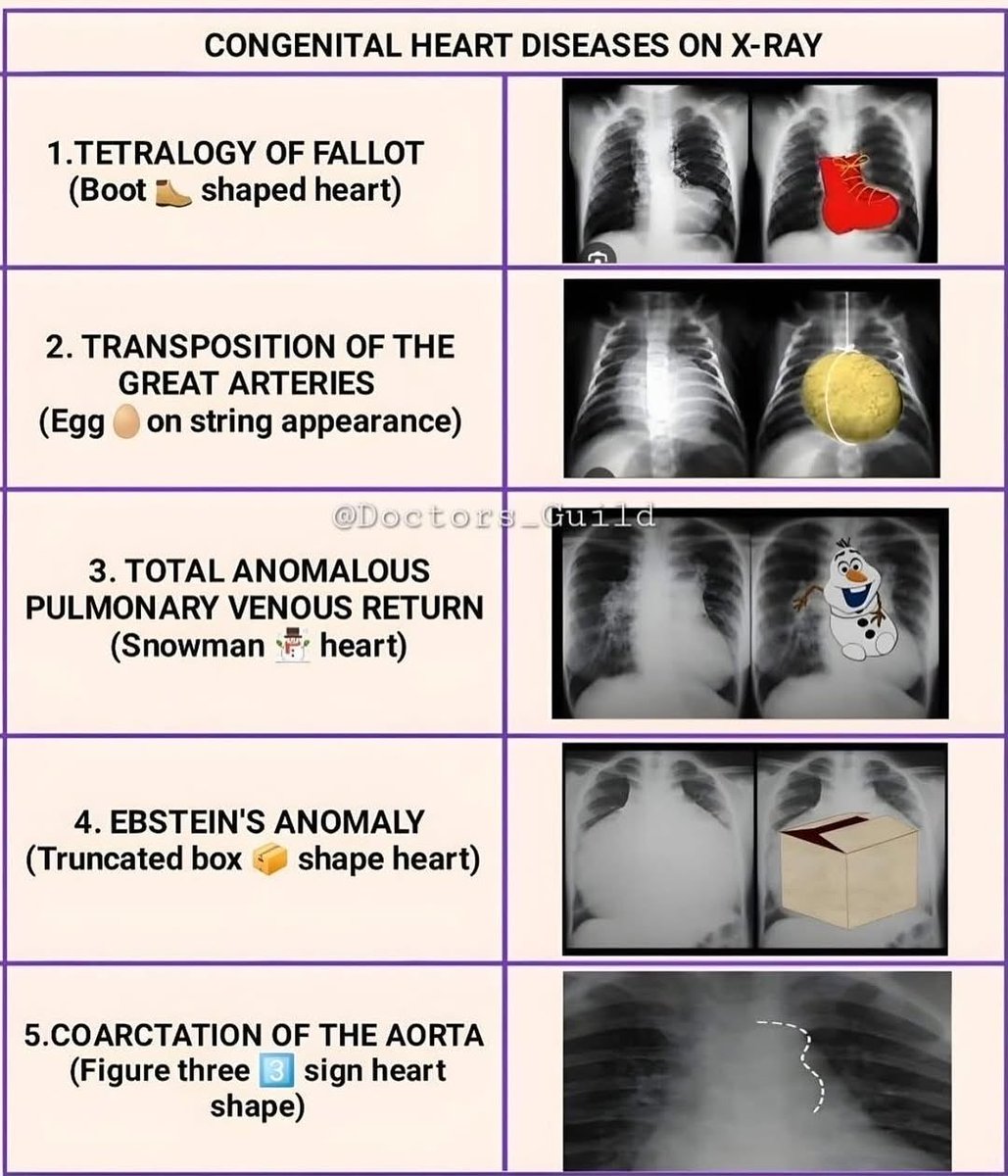 Dr Honey choudhary 🩺 tweet media