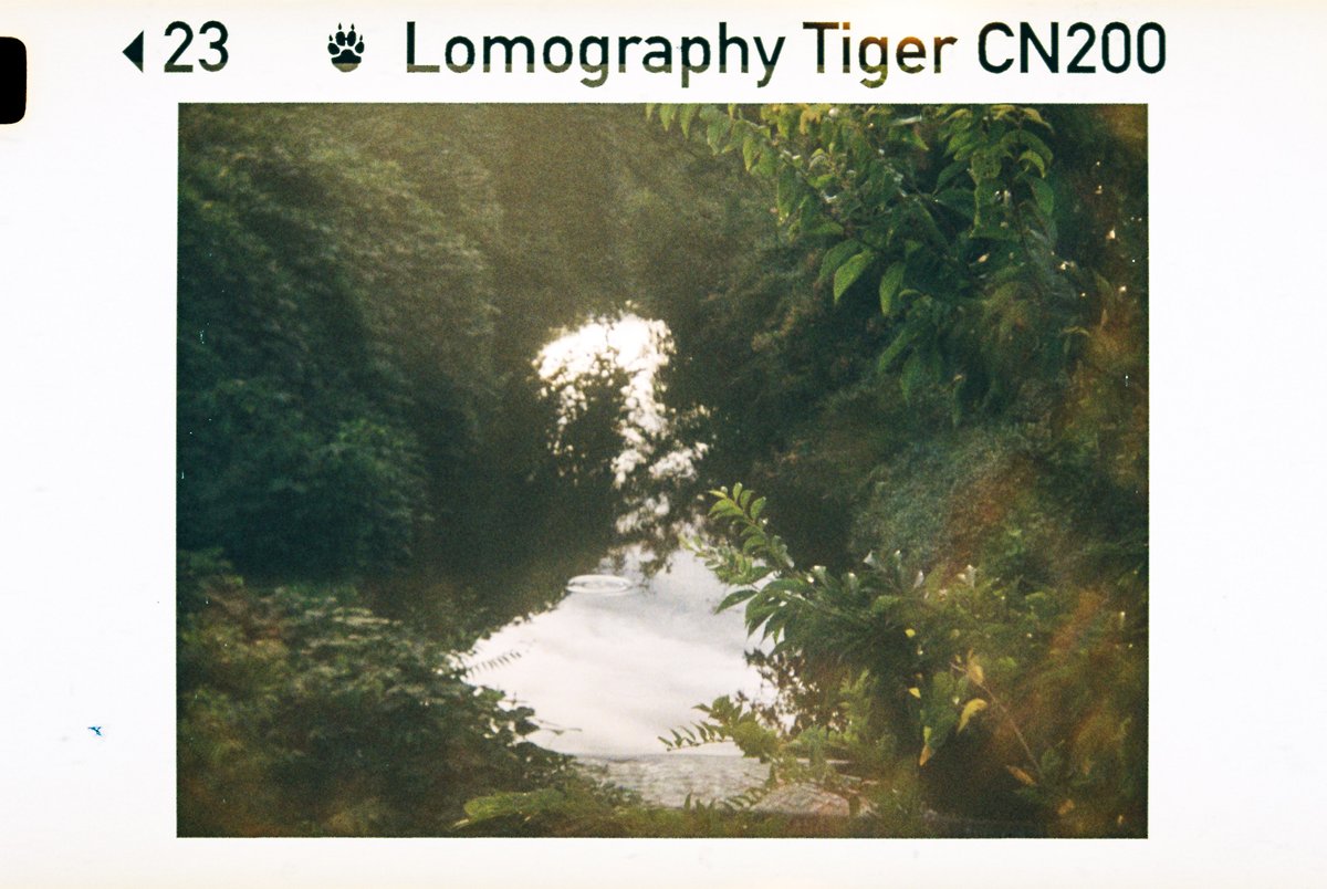 marksbranding's tweet image. Camera / Photos

#Argus110
#Lomography