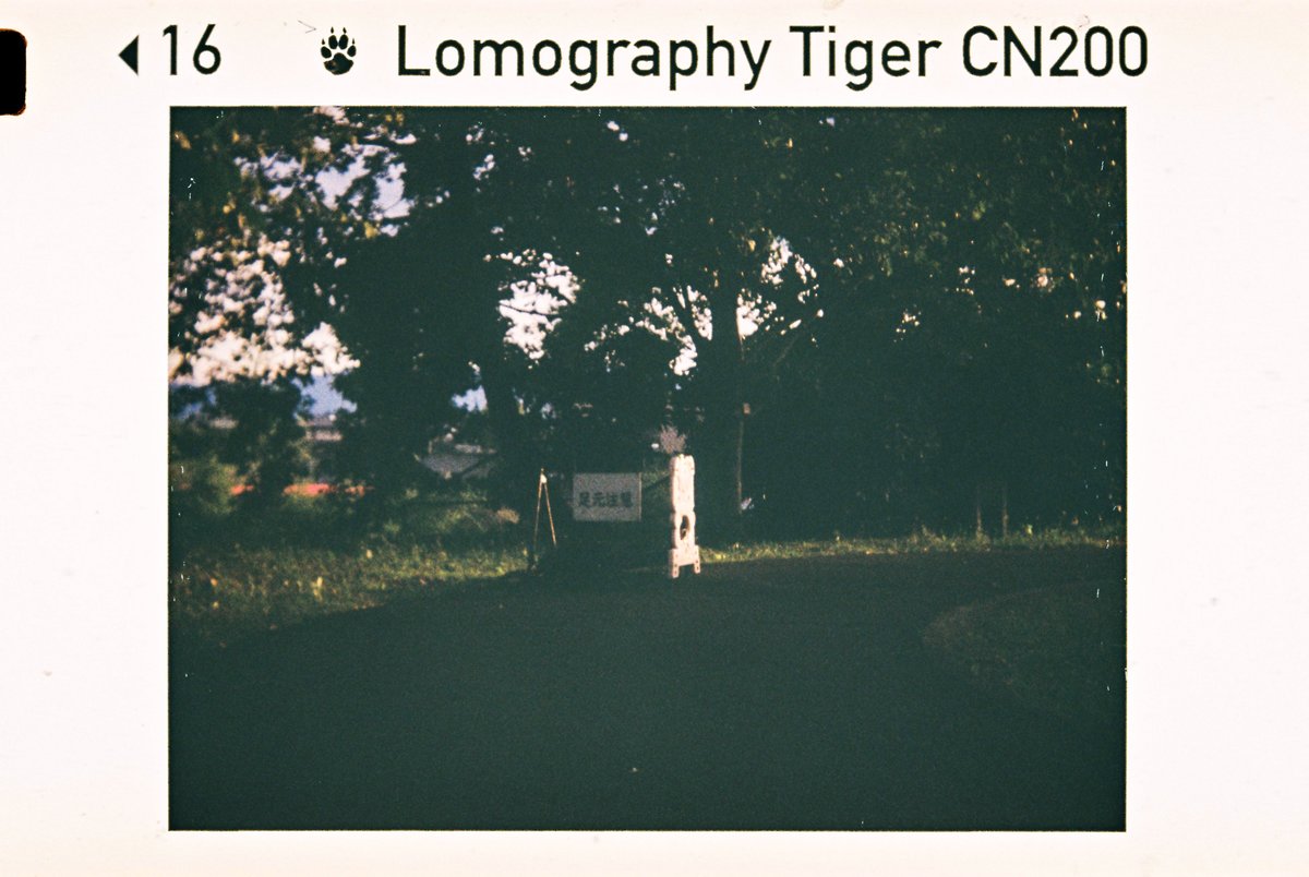 marksbranding's tweet image. Camera / Photos

#Argus110
#Lomography