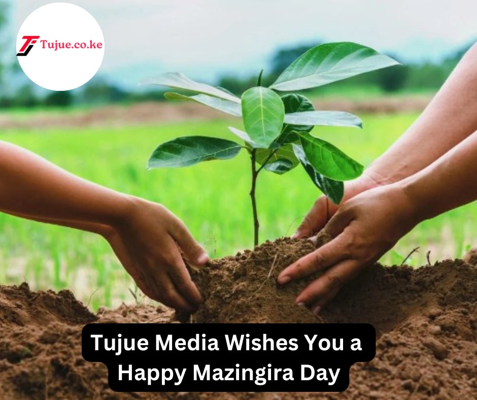 Tujue Media tweet media