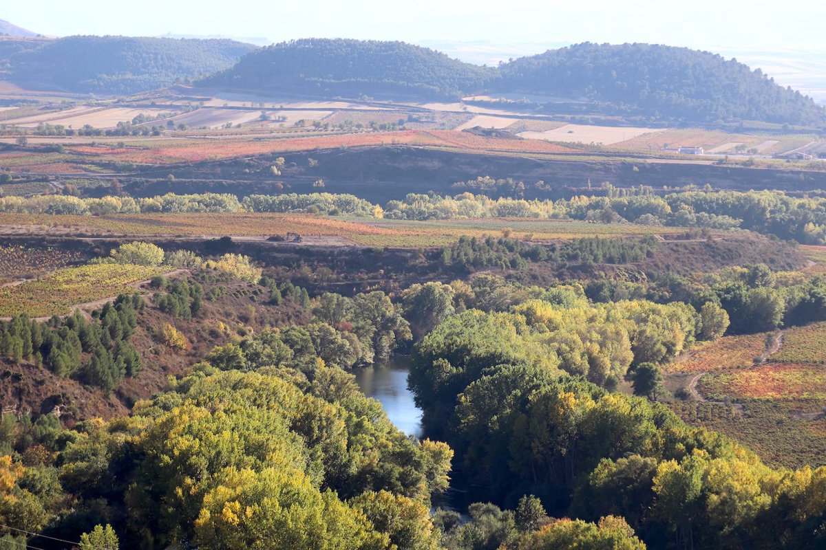 En esta época del año, los campos y viñedos se visten de colores que van desde el verde al dorado y granate. Recorremos varios miradores de la <a href="/RutaVinoRioja/">Ruta Vino Rioja Alta</a> para disfrutar al máximo de este espectacular paisaje de otoño 🍂 aetheriatravels.com/miradores-rioj…
<a href="/lariojaturismo/">La Rioja Turismo</a> #LaRioja