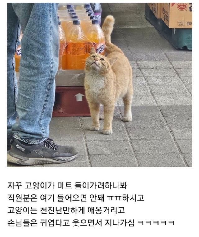 챱 (@lovx11_very) on Twitter photo 