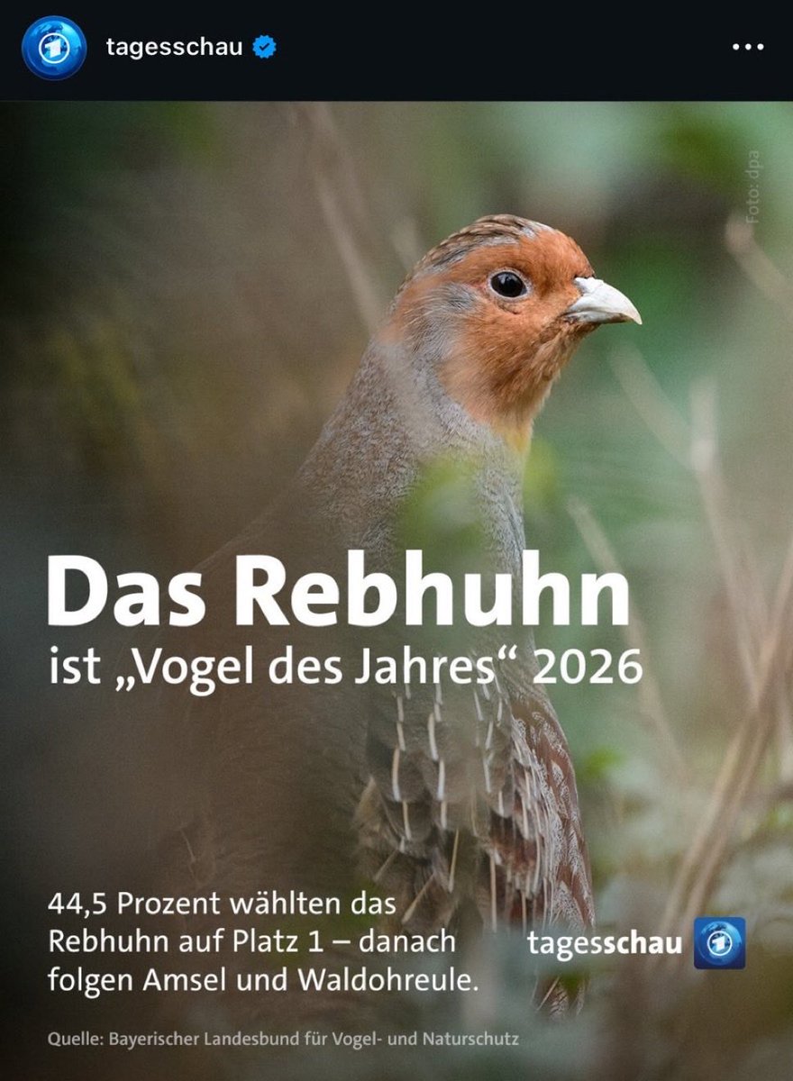 Das muss der größte Wahl Betrug in der Geschichte der Demokratie sein. SKANDAL!!! <a href="/drei90/">drei90</a> <a href="/NABU_de/">NABU 🦤</a> #VogeldesJahres