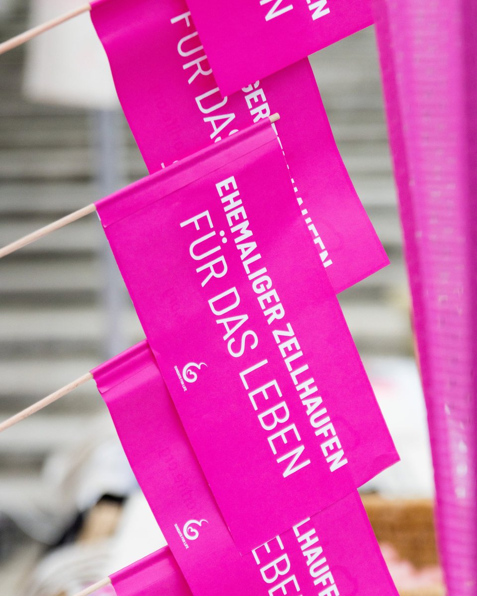 Marsch fürs Leben tweet media