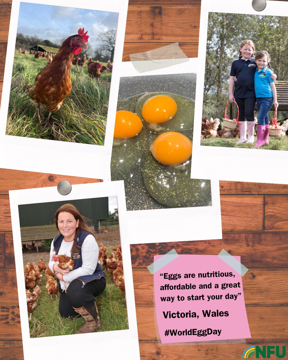 It's #WorldEggDay today and we're celebrating the mighty egg🥚 NFU Cymru poultry group vice chair Victoria is proud to produce such a versatile and nutritious food  🍳