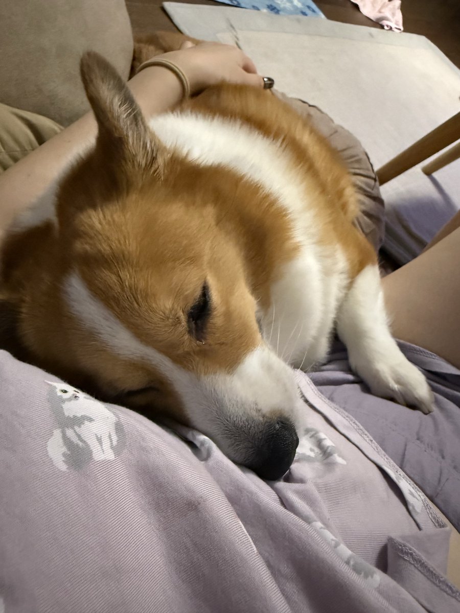 涼しくなったからね