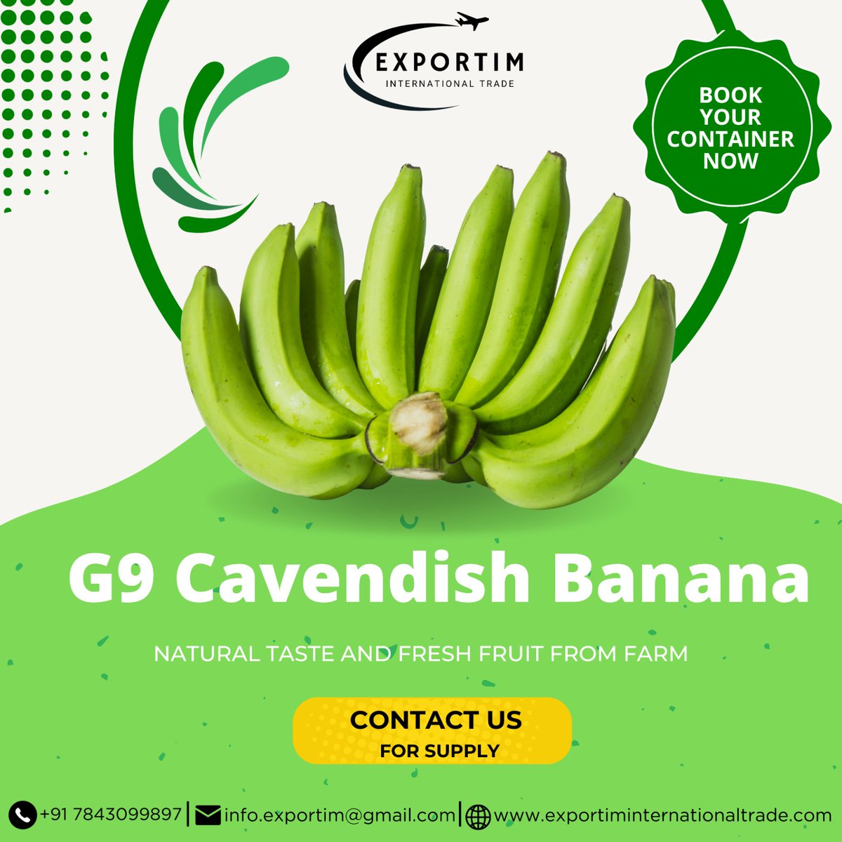 exportim_india's tweet photo. Discover the essence of quality with our Premium Cavendish Bananas! 🍌✨

f freshness from our farms to your tables! 🌍💚 #BananaExport #CavendishBanana #FreshFromFarm #BananaExport #CavendishBanana #FreshFromFarm #AgriExport #IndianExport #BananaBusiness #farming #ExportQuality https://t.co/CUz0Eb7PEg