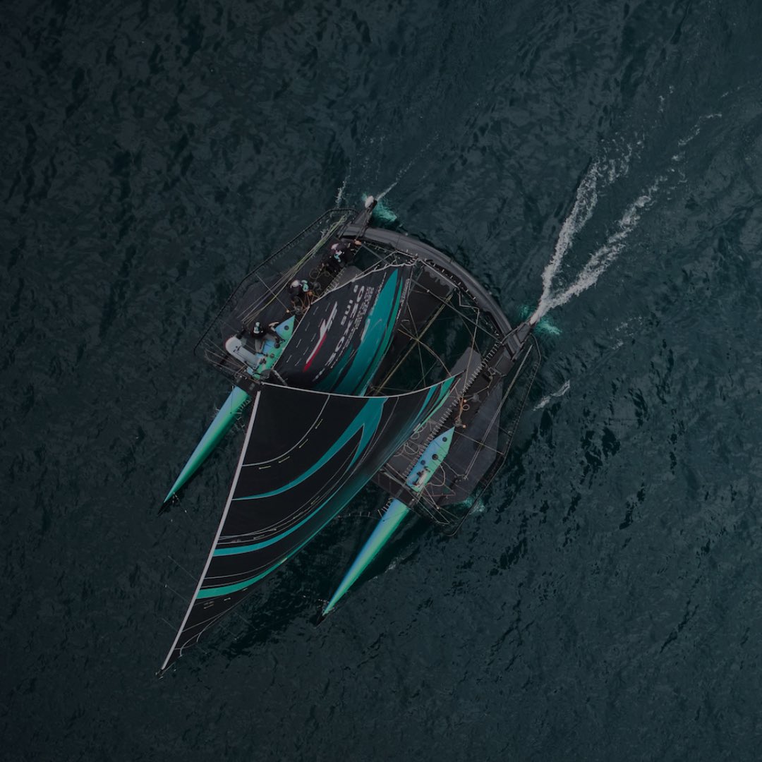 Sails of Change tweet media