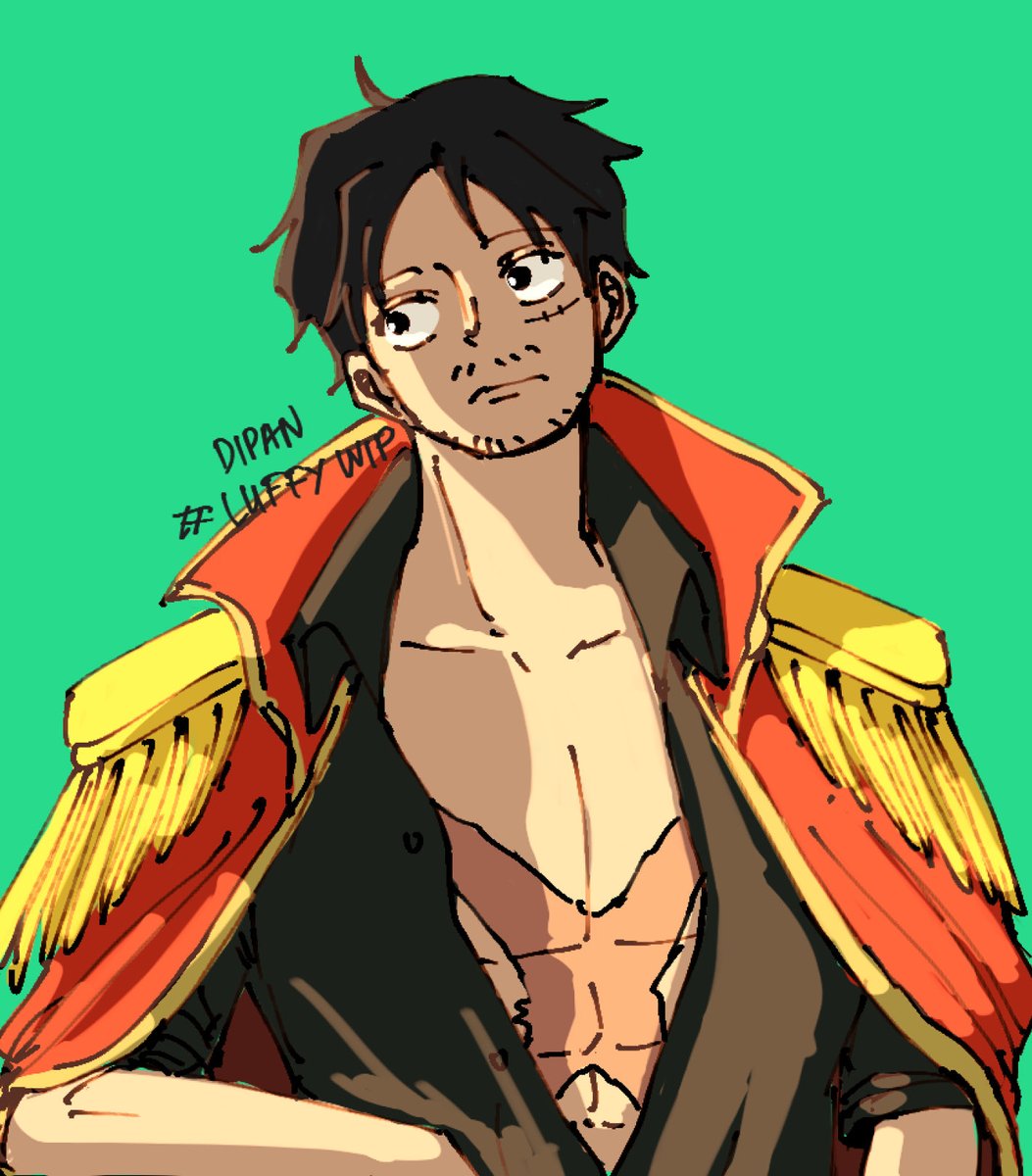 thoughts on this luffy?