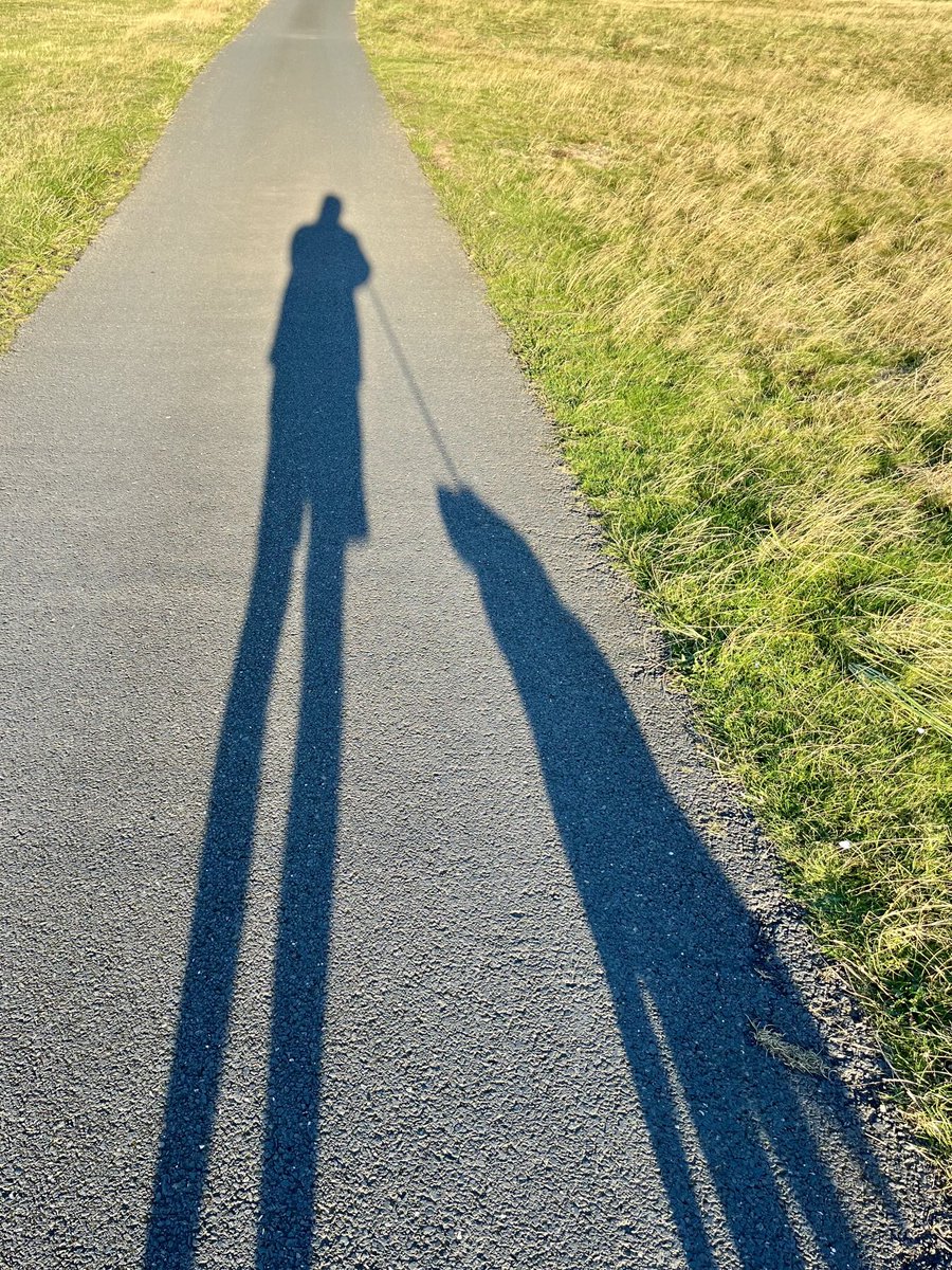 One man and his dog on a beautiful #EastLothian Autumn morning.