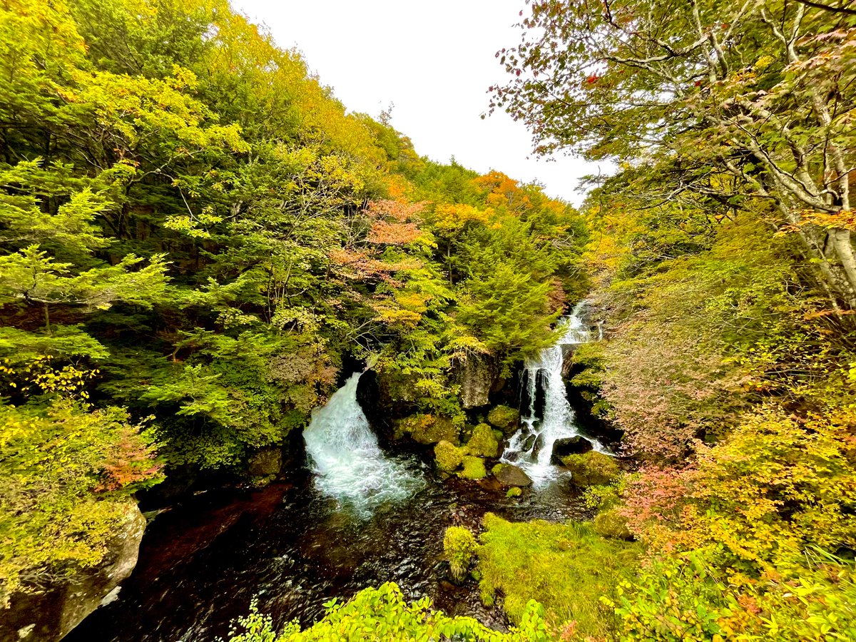 TochigikenD's tweet photo. 10/10(金)の #奥日光 の #紅葉状況 です！
山々がほんのり色づき始めて、秋の訪れを感じます🍁

朝晩の空気も少しひんやりしてきて、散策にはぴったりの季節🍂
3連休は、紅葉の始まりを感じながら奥日光の自然を楽しみに来てね！
ぜひ #日光道 に乗って、遊びに来てください🚗 https://t.co/4rBypPrf6K