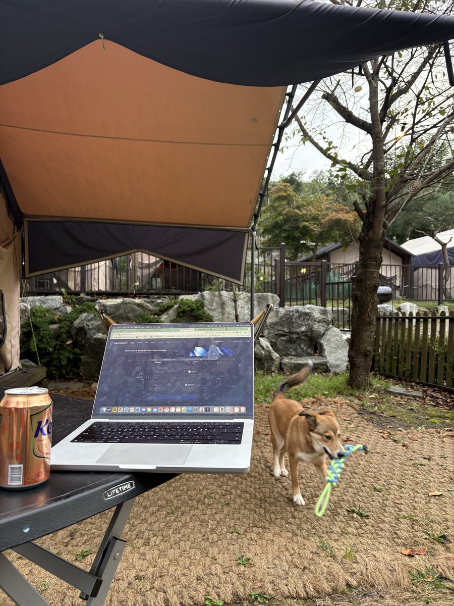 해선티엠♢【텔레 @MacauDB】ꌙ최신증권DB추출.muz - البحث / X