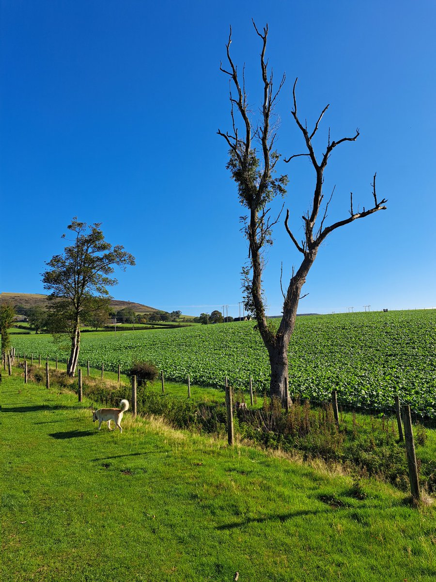 Stacey Murray tweet media