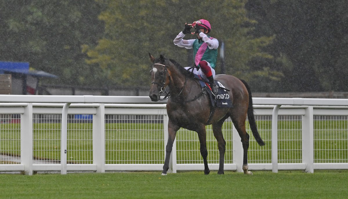 Champions_Day's tweet image. Enable enters the British Racing Hall of Fame on QIPCO British Champions Day 🏅

Which of her 15 wins was your favourite? 👇