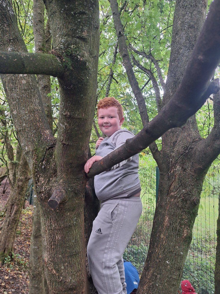 Mrs. Duff - Forest School. tweet media