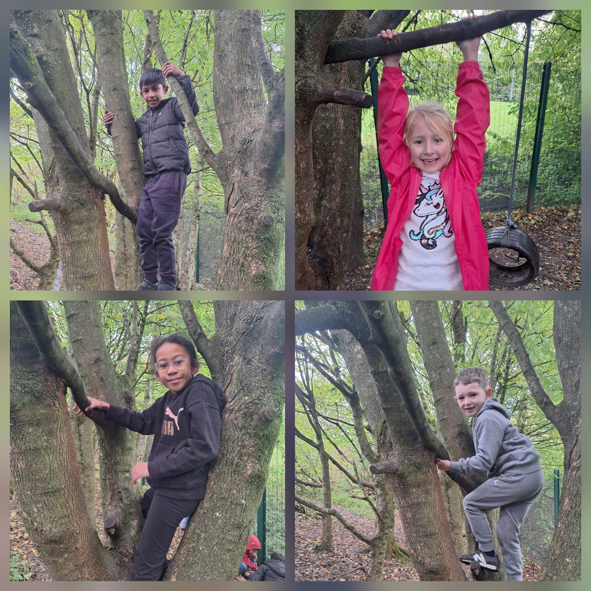 Mrs. Duff - Forest School. tweet media