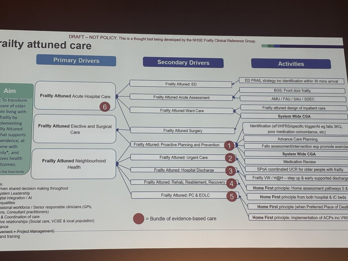 Thinking map in NHSE to develop tools for high impact frailty care #UKASCC2025