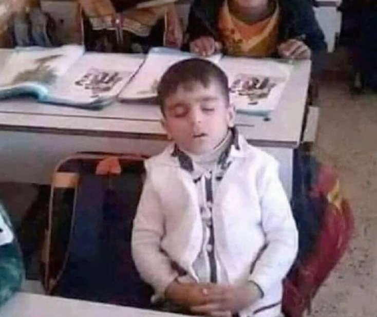 besiktaslikus's tweet photo. lisede 8.dersten sonra bile etute kalacak enerjiyi bulurken unide daha 3. sabah dersinde bizim uyku durumu👇🏻 https://t.co/TtCLHK2EQw