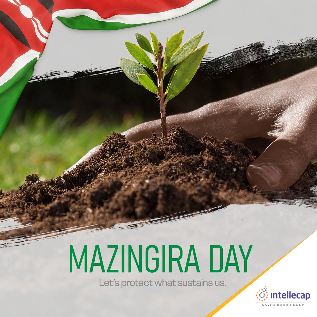 Mazingira means environment

At Intellecap, this is a powerful reminder that protecting our planet is protecting our progress.
From clean energy to circular economies, our work is rooted in sustainability

Let’s protect what sustains us

#MazingiraDay #Intellecap #Sustainability