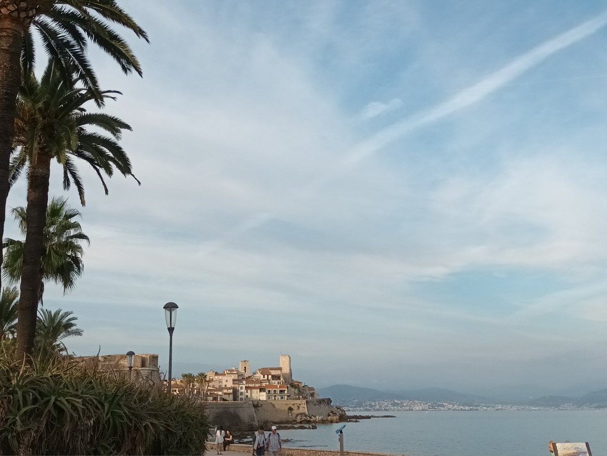 Bon vendredi. ;-) 
Have a good Friday. 
🍀 
(Photo © F. Brun)