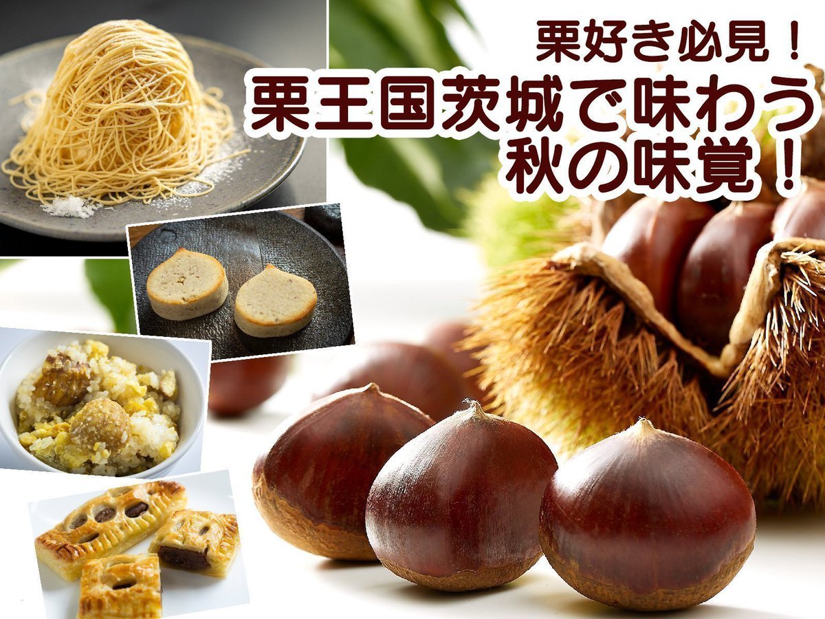 まー@プロフ必読 様 4L 5キロ☆つくば☆茨城県産☆栗 海老さん家のくり