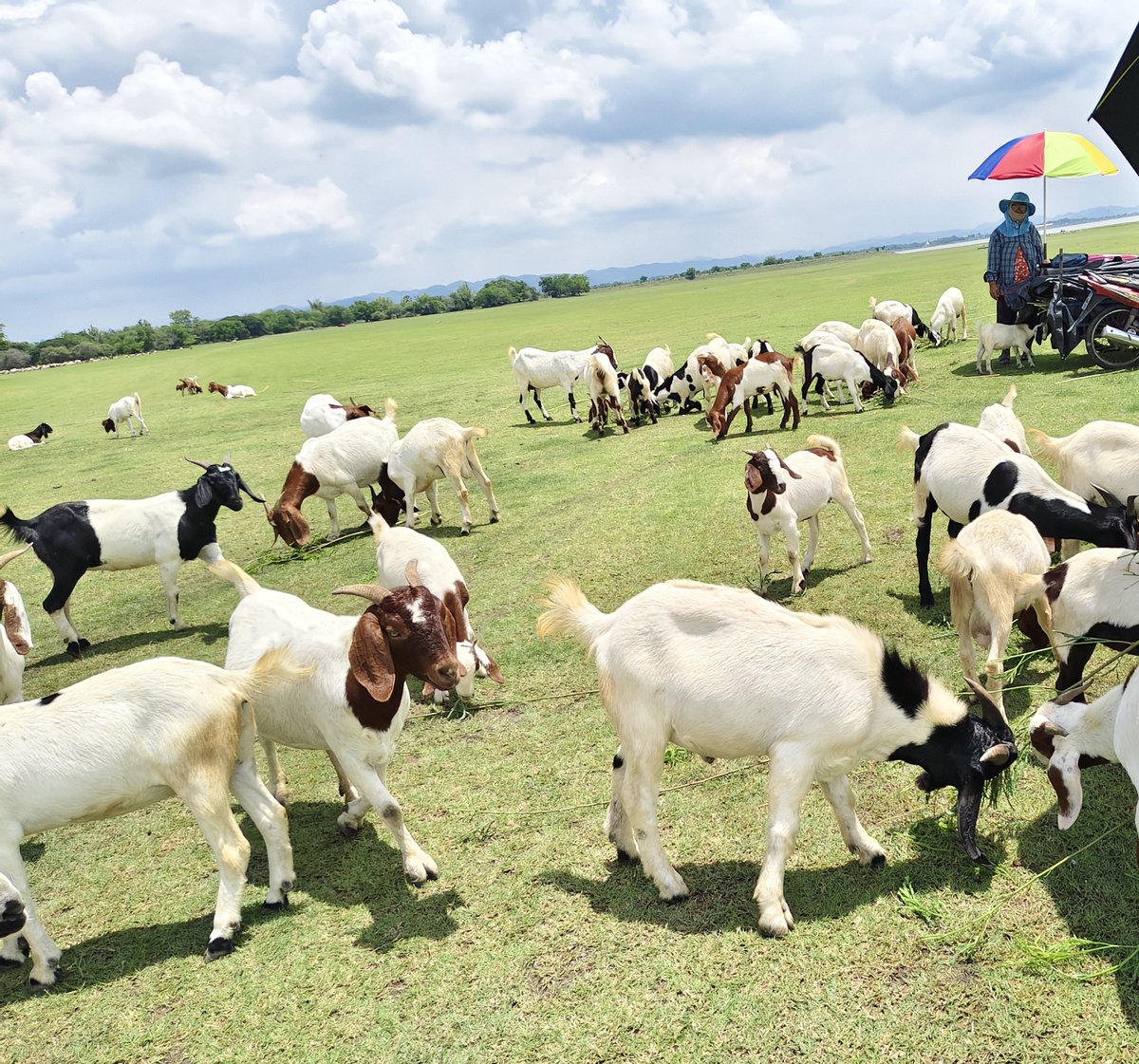 วิวท้ายเขื่อนก็ใช้ ย่อย บรรยากาศ ดีจริง ๆ 😁
#ท้ายเขื่อน #บ้านท่าฤทธิ์ #เขื่อนป่าสัก #ลพบุรี #สระบุรี #แอบแซบ #ลับๆไม่เปิดเผย