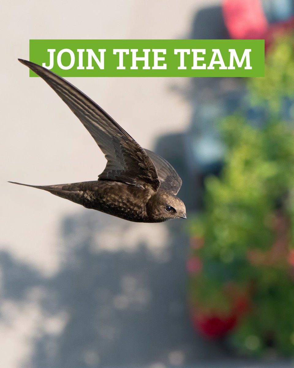 We have a number of exciting opportunities to join the communications &amp; campaigns team at Link:

Head of Campaigns &amp; Media🎥
Events &amp; Campaigns Manager🎉
Digital Media &amp; Communications Officer📱

Join us now to help us push for nature action🌱

Find out more &amp; apply via