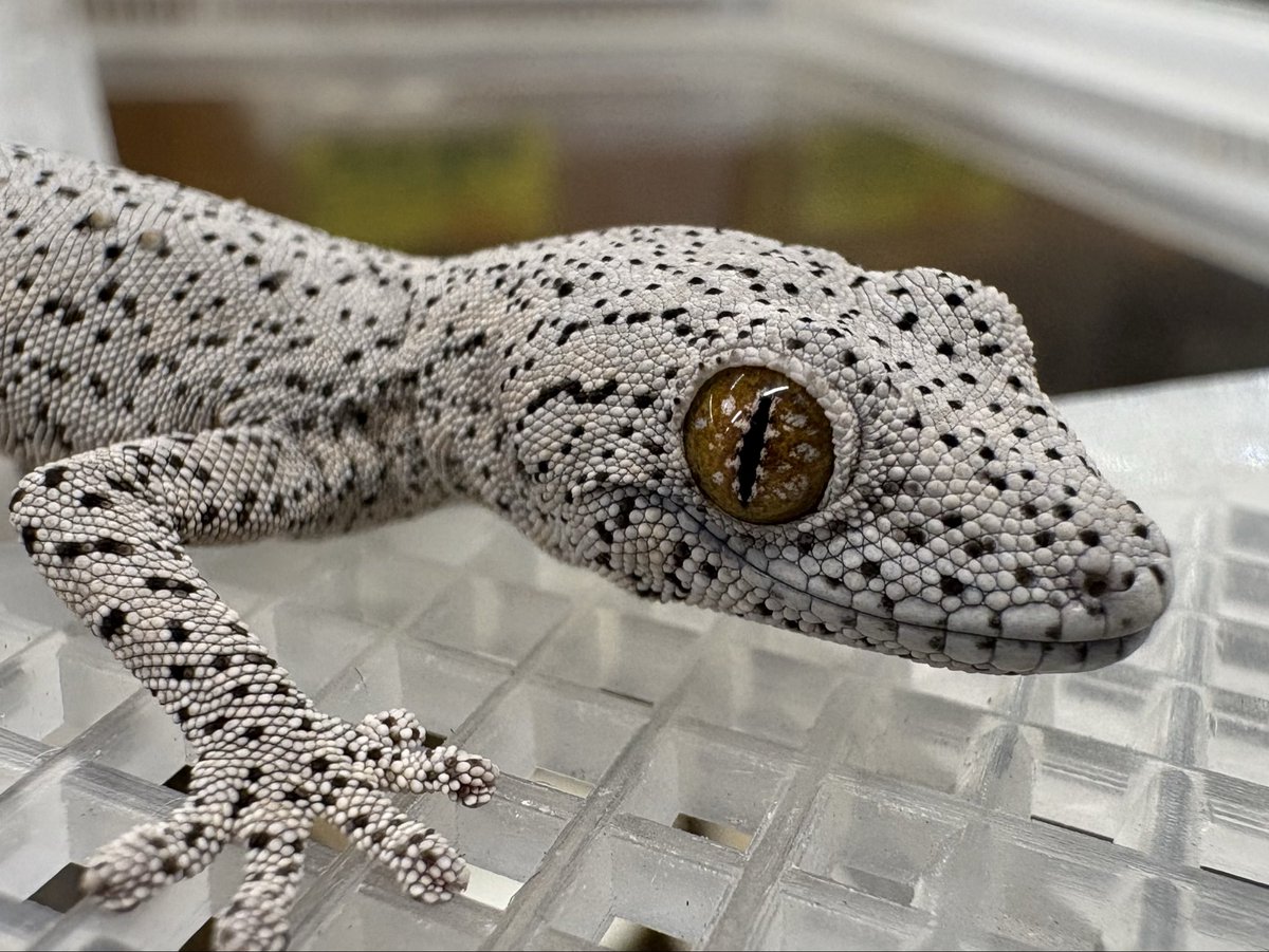 ひゃー!!こりゃいい!!!