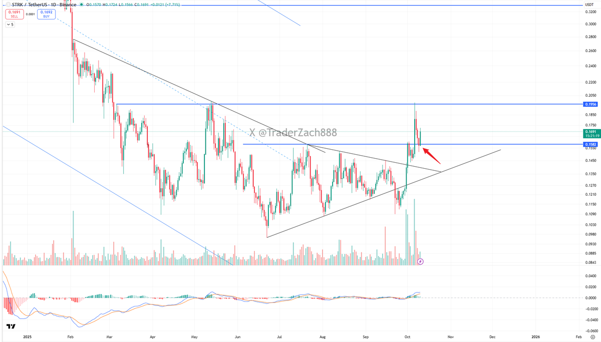 Trader Zach | 小扎 tweet media