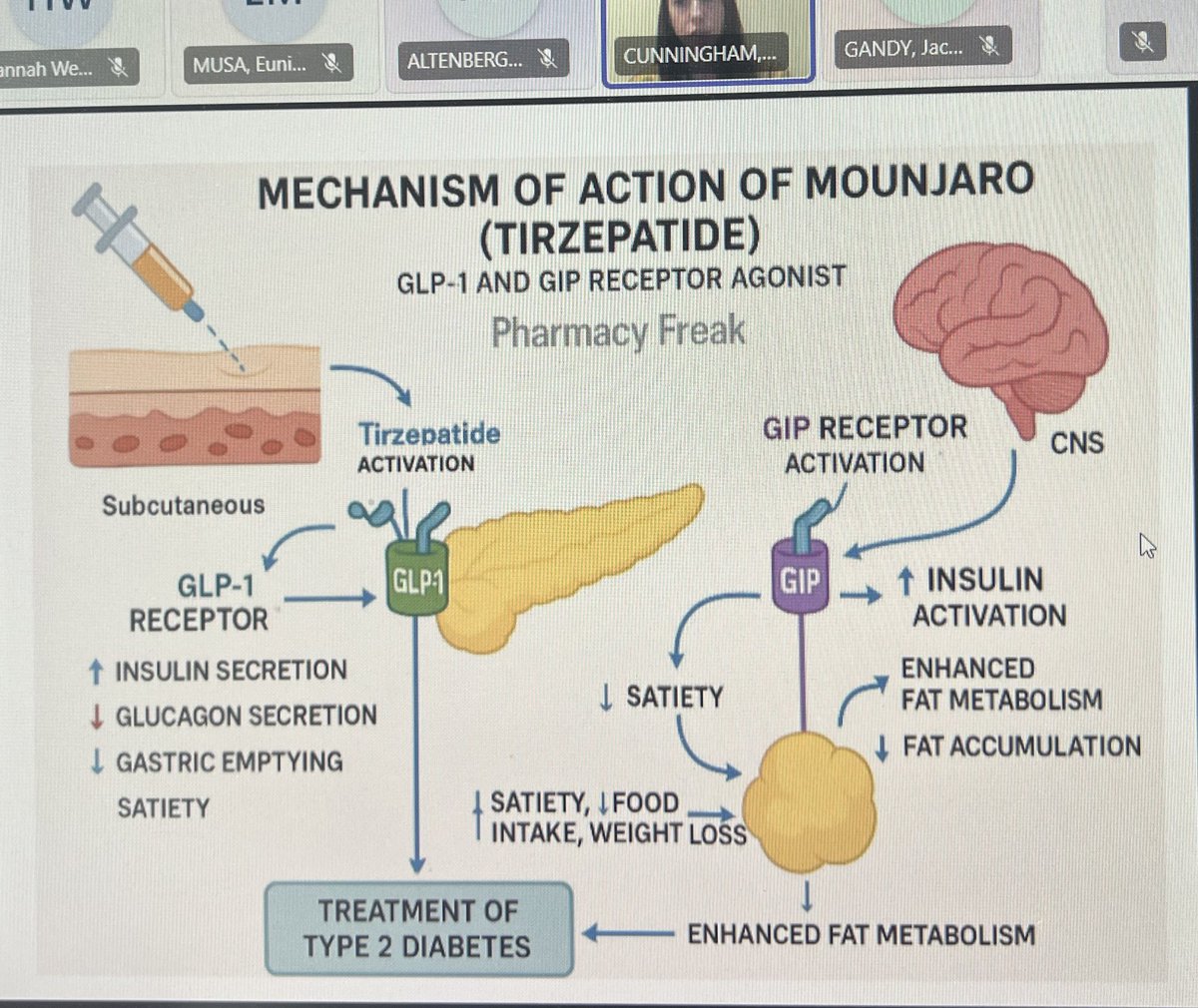 Managed to squeeze in another day of super informative lunchtime learning  - GPL1 and CKD patients looking at muscle mass loss and the role of exercise and diet 🤓<a href="/bda_kidney/">BDA Kidney Dietitian Specialist Group</a> #kidneydietianweek