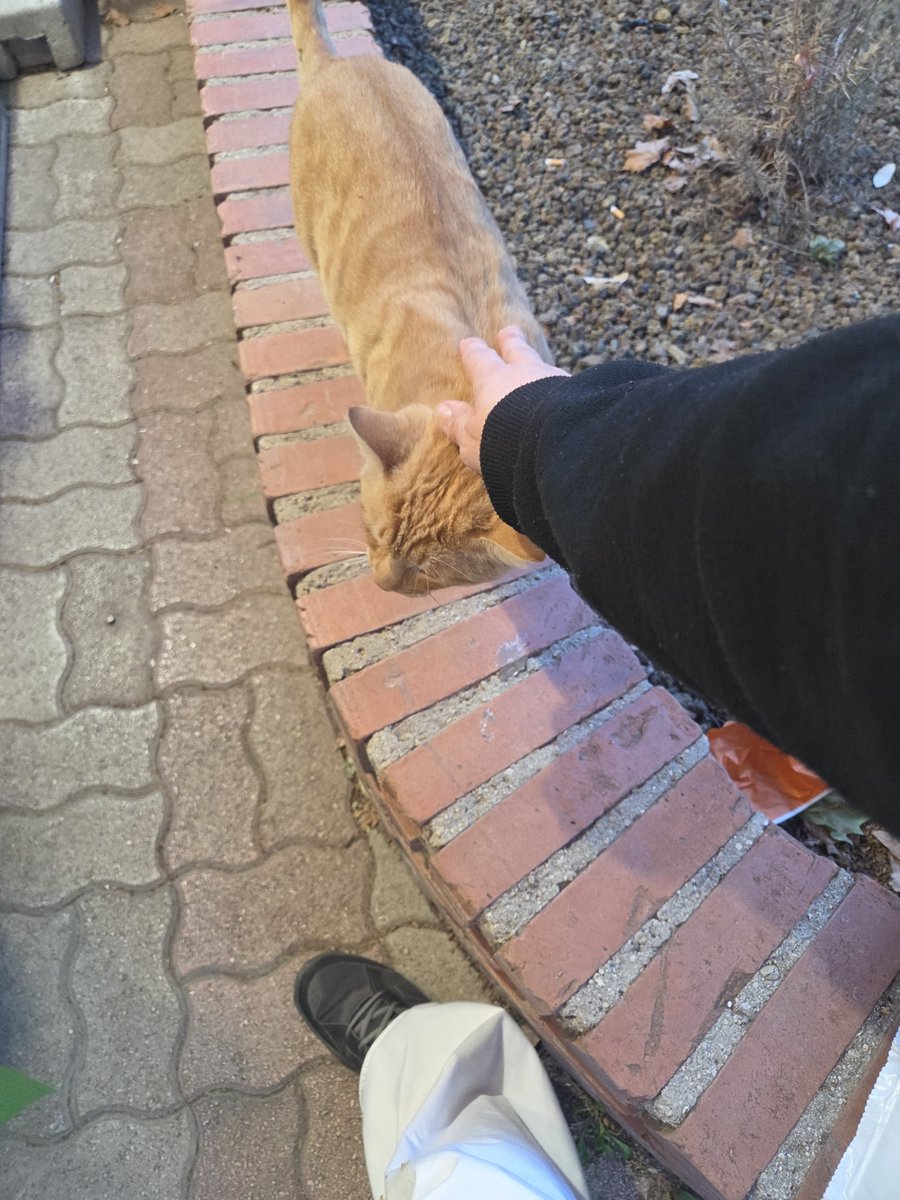 VolpeReal's tweet photo. - perché sei arrivato tardi a lavoro?

Io: https://t.co/PooxiQAGai