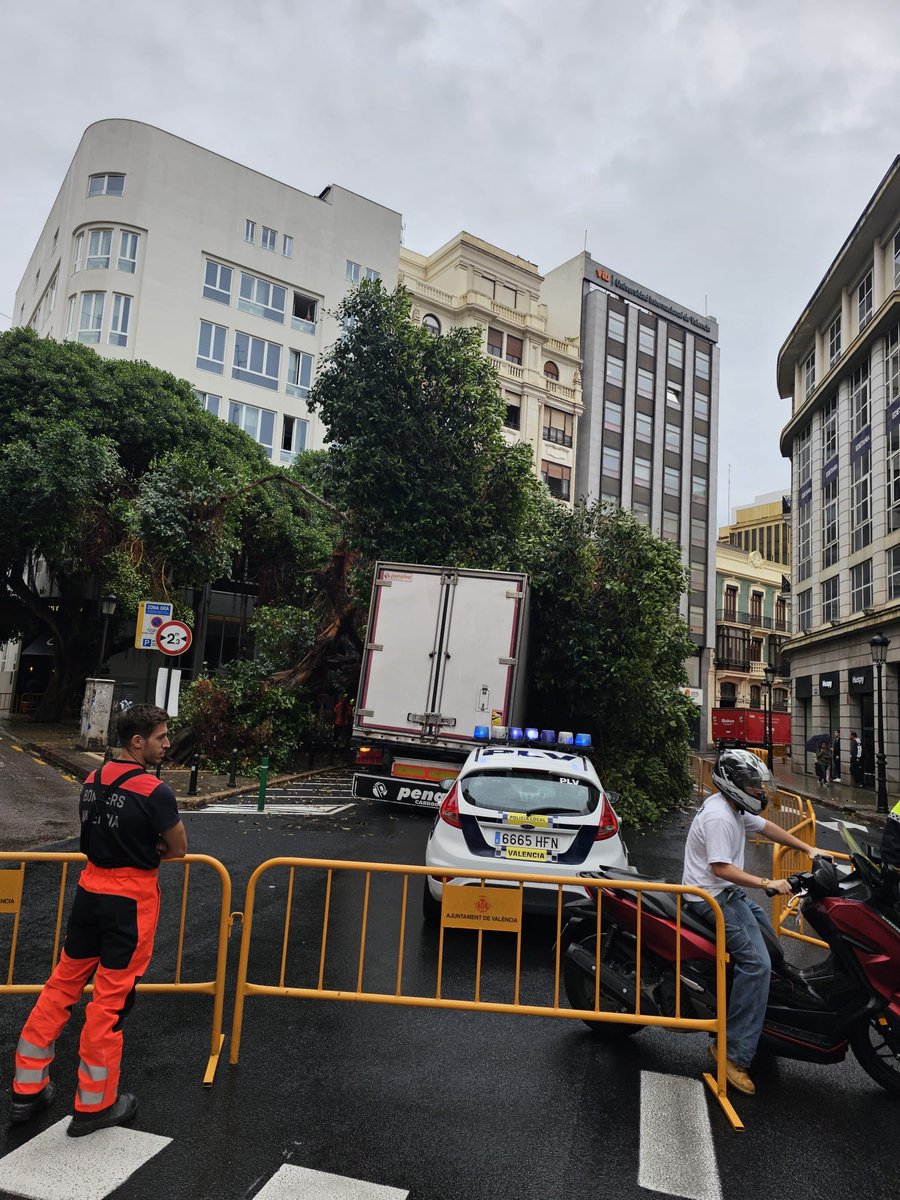 policialocalvlc's tweet photo. ⚠️🚧🌳Dos carriles de Pintor Sorolla cortados, desde la calle Universidad, por la caída de un árbol sobre un camión.

Desviamos el tráfico por Pascual y Genís https://t.co/F4DZv1vKT0