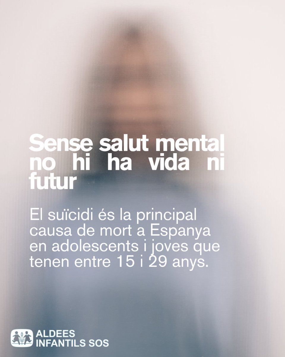 Aldees Infantils SOS Catalunya tweet media